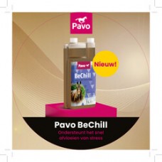 Pavo BeChill